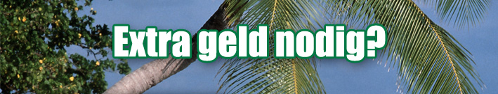 Tot € 2.500,- naast uw huidige lening